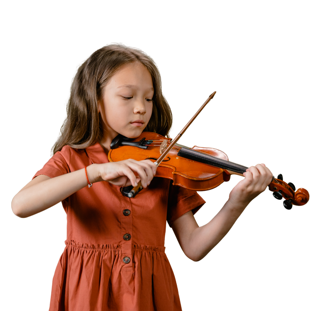 Professional Violinist